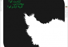 Support Iran: Our Votes