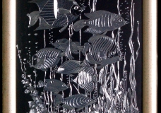 Silver fish
