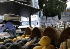 Farmer's Market