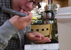 Food to Study to