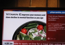 Feed Your Brain Good Stuff