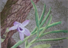 Fragrance of Lonliness
