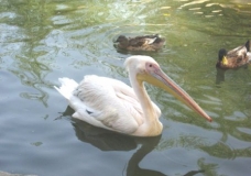 In water