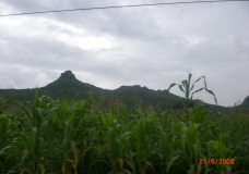 green mountain