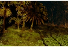 Form of Night