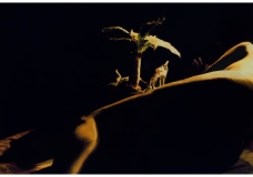 Part of nature