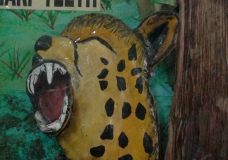 parts of different animals