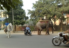 Modes of Transportation...