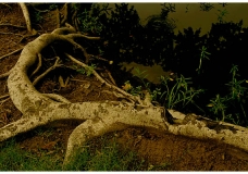 Creative art Photography