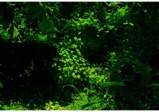 Creative art Photography