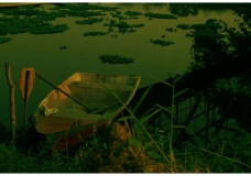 Creative art Photography