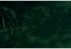 Creative art Photography