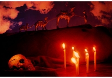 Creative art Photography
