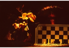 Creative art Photography