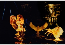 Creative art Photography