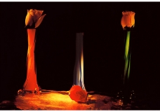 Creative art Photography