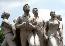 Freedom fighter