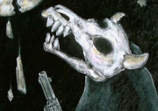 Shoot the Moon