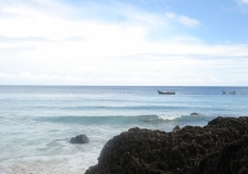 Save our sea