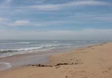 Ocean Blue