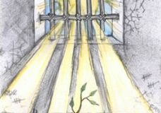 ...Hope...