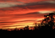 sunset