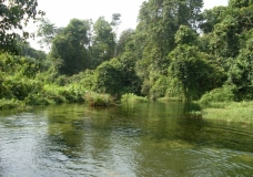 in the begining