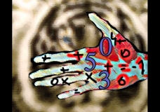 The objective of a device on the face of a tiger
