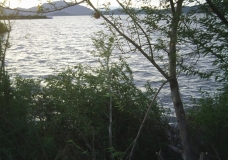 Lake Victoria at noon