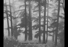 MONSOON  IN  HIMALAYAS