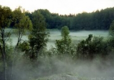 Morning mist