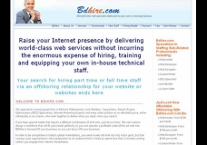 SEO Specialists