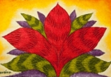 my rose