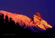 MYSTIC  HIMALAYAS