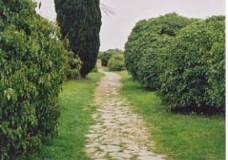 Ostia Antica