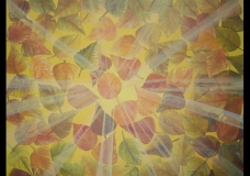 The Light Of Fall