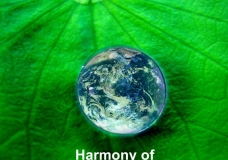 Mother Earth