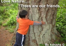 Trees are our friends