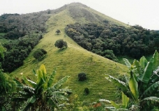 Valle de la Ribera - Iporanga - Brasil 2003