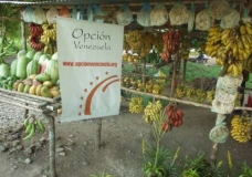 Opci