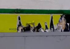 Strip Art Three