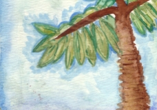 Palm Tree