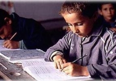 Tunisian Pupil