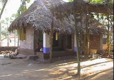 Village Hut