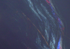 aurora florescentialus