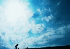 my dream is to fly
