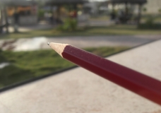 illustrating Nature