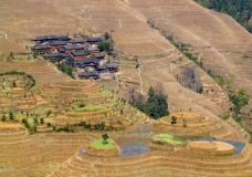 Life and Landscape