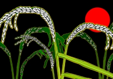 SUN RICE