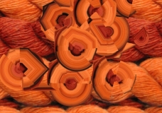 Fruits of Labour